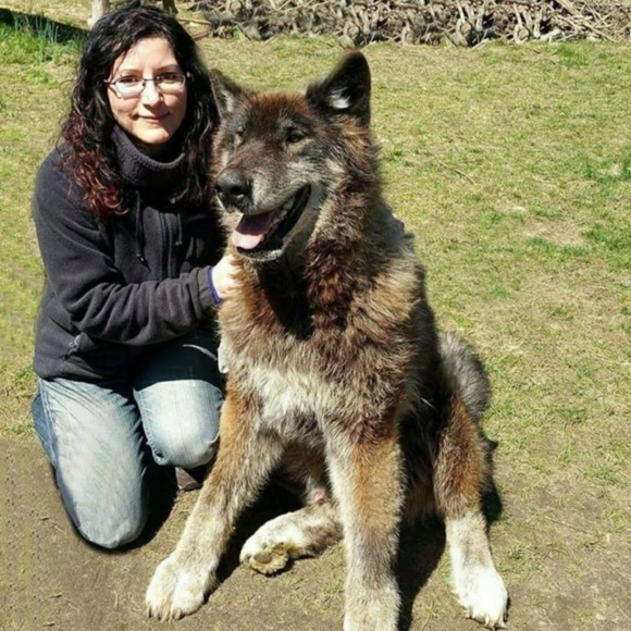 ginacondo
